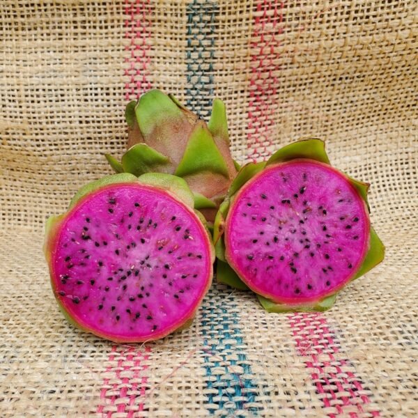 Asunta 3 Dragon Fruit Cutting