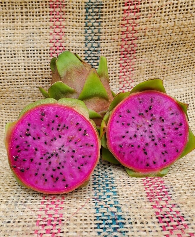 Asunta 3 Dragon Fruit Cutting