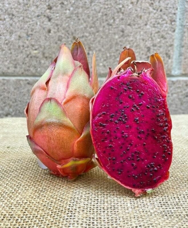Asunta 5 Dragon Fruit Cutting