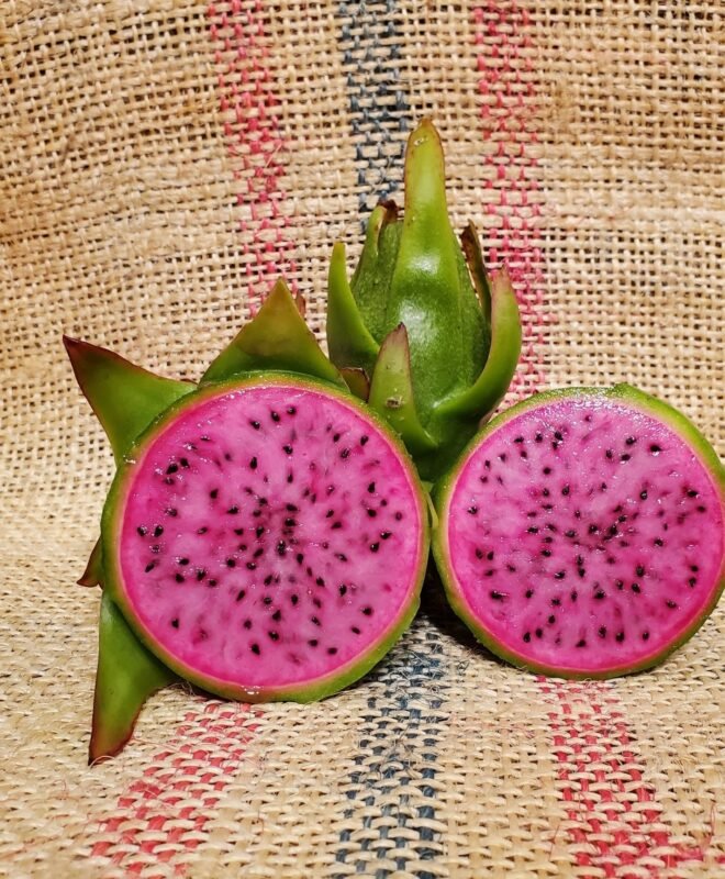 Ax Dragon Fruit Cutting