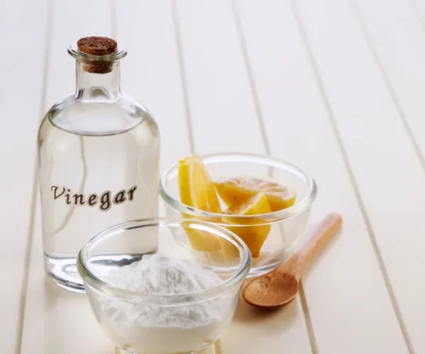 Craft Your Own White Wine Vinegar Culture