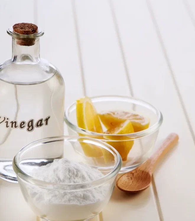 Craft Your Own White Wine Vinegar Culture