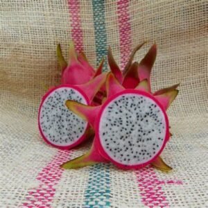 David Dowie Dragon Fruit Plant Cutting