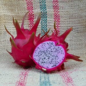 Delight Dragon Fruit Plant Cutting