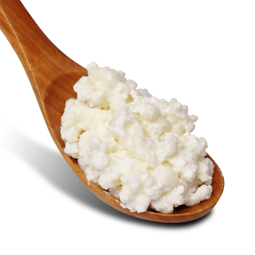 Milk Kefir Grains