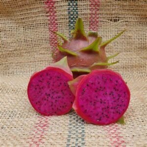 Halley's Comet Fruit Plant Cutting