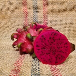 Hawaiian Red Dragon Fruit Plant Cutting