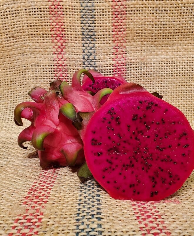 Hawaiian Red Dragon Fruit Plant Cutting
