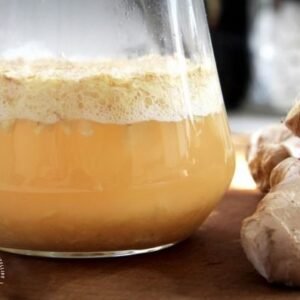 Probiotic-Packed Ginger Bug Culture