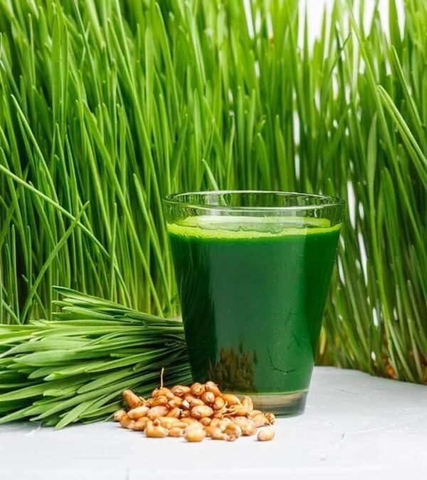 Wheatgrass Seeds