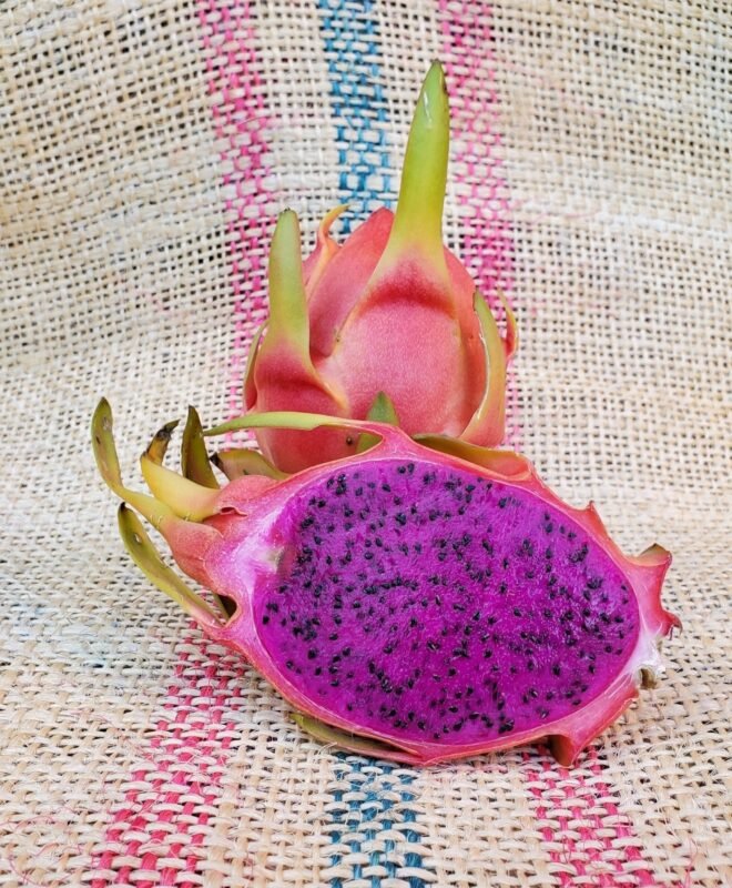 La Verne Dragon Fruit Cutting