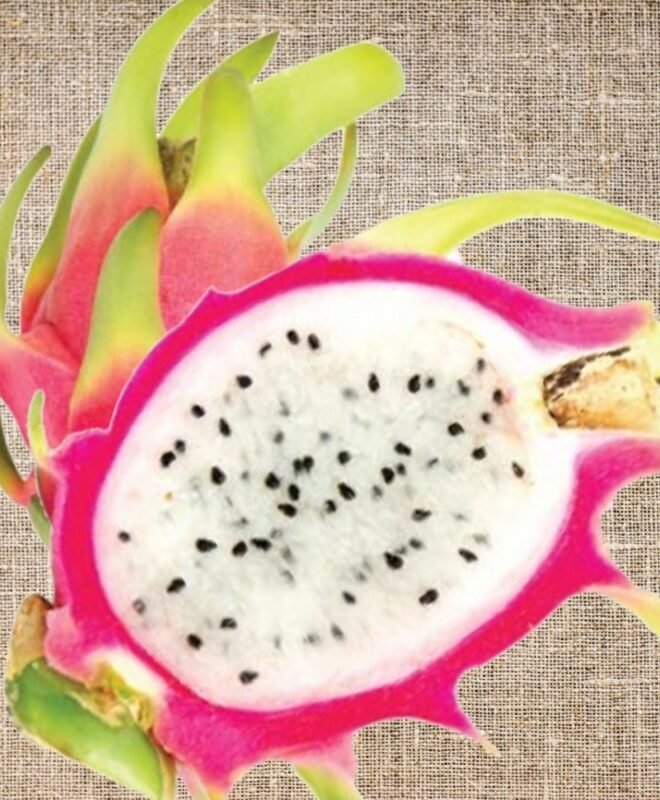 Lake Atitlan Fruit Plant Cutting