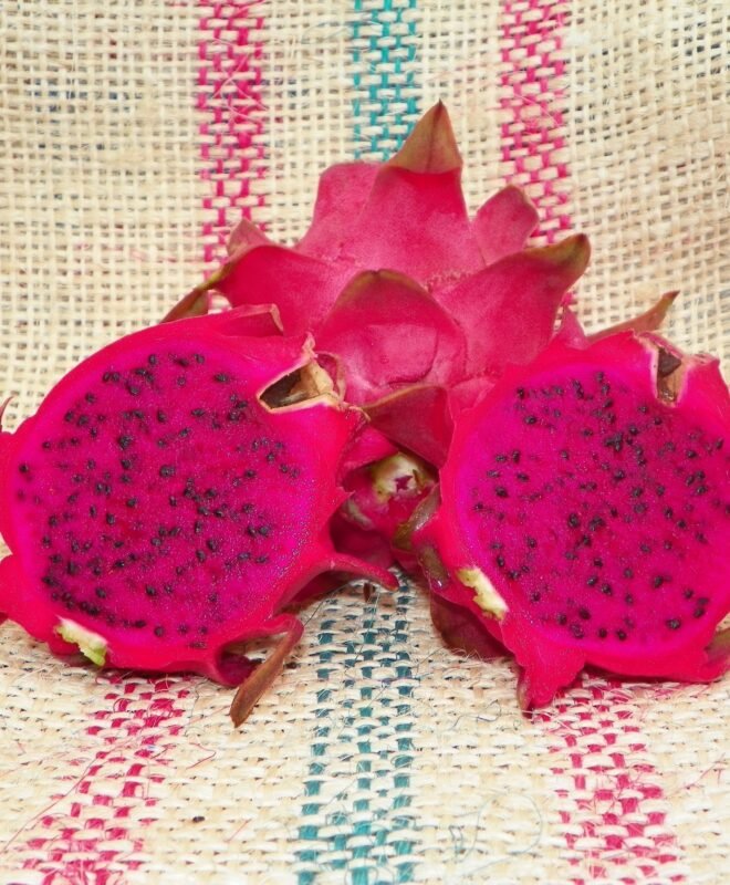 Makisupa Fruit Plant Cutting