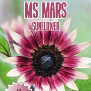 Sunflower Seeds