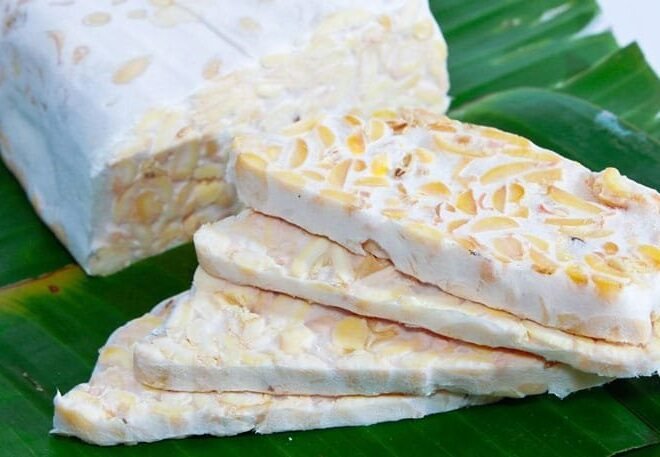 Tempeh Starter