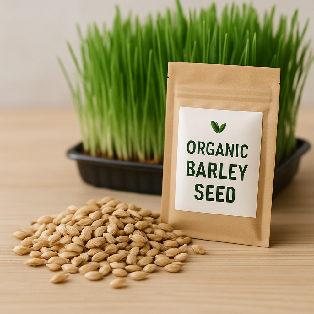 🌾 Organic Barley Seed